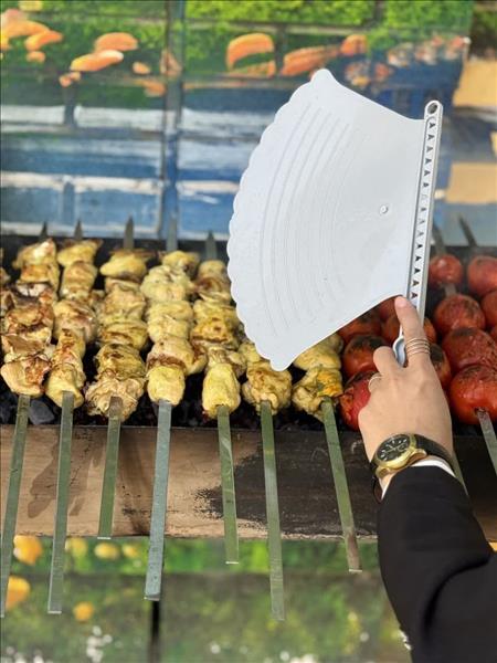بادبزن دسته دار لئون پلاستیک